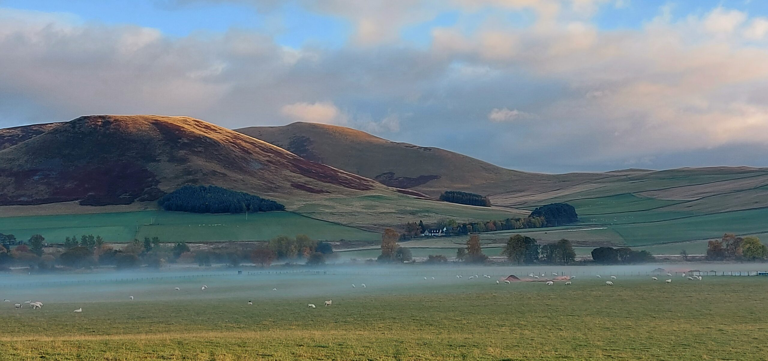 Misty Morning Thirlestane Barrows
