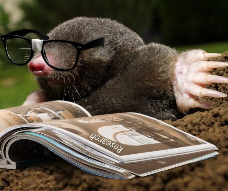 Photo of a mole wearing glasses reading a book called Research